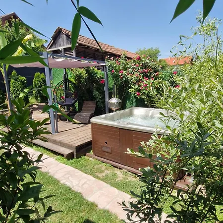 Mirka Apartman Karlóca